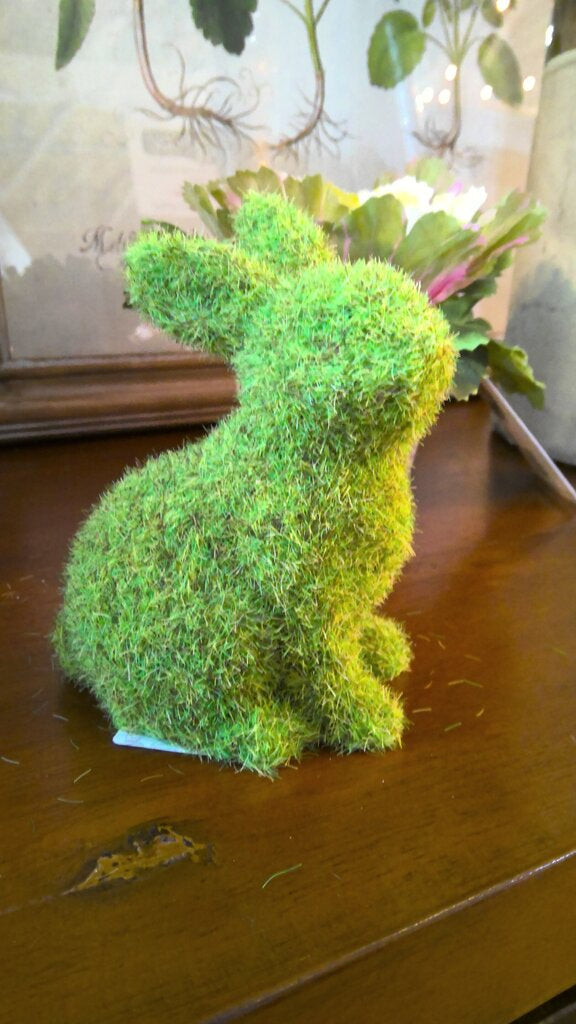 Mossy Sitting Bunny