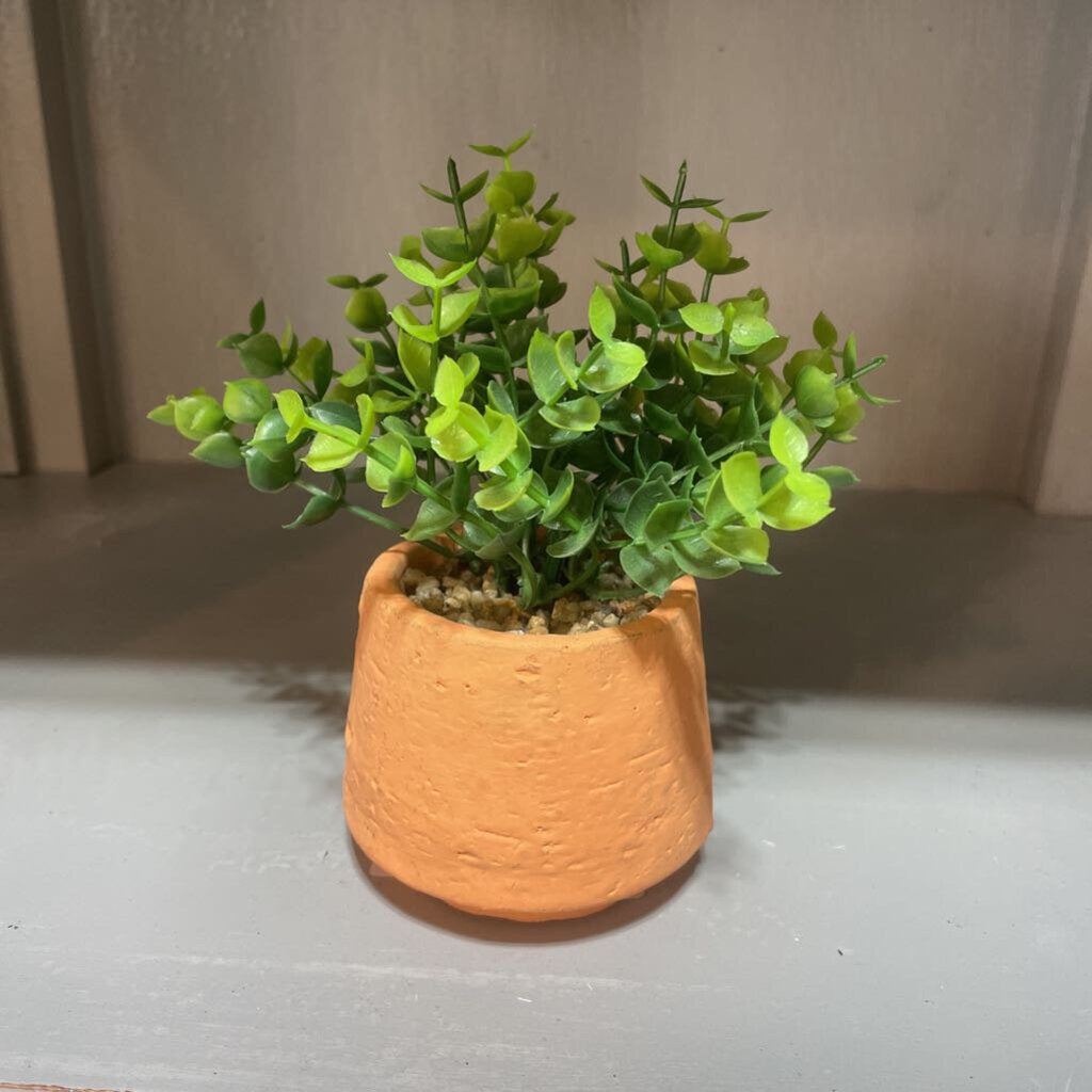 Greenery in Pot