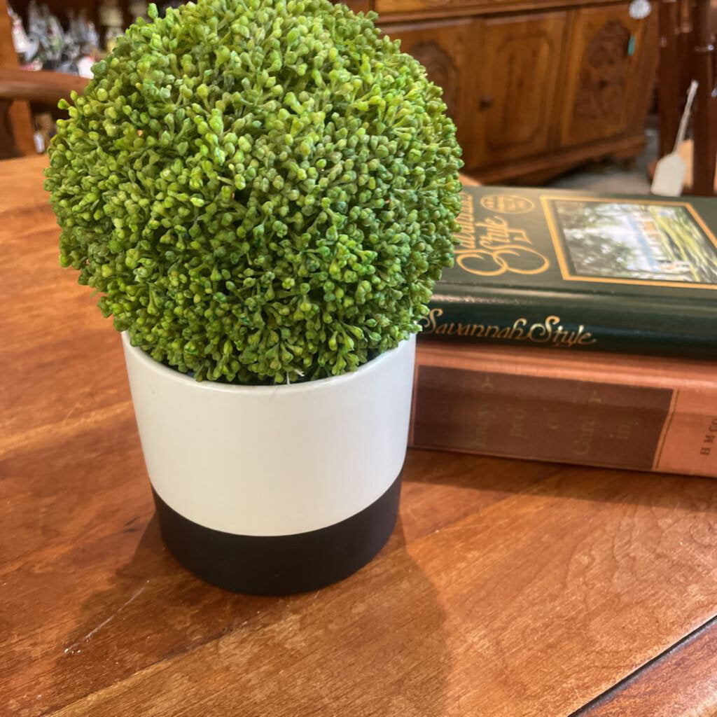 Black and White Planter