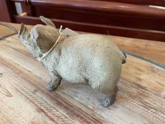 Primitive Pig