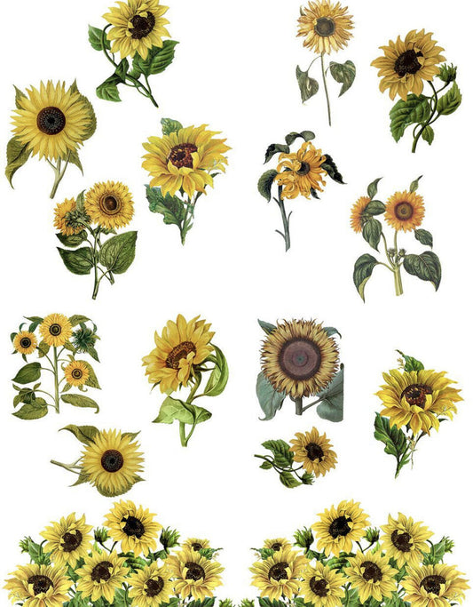 Sunflowers Transfer