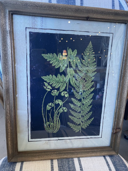 Fern Prints