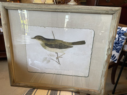 Framed Bird Print