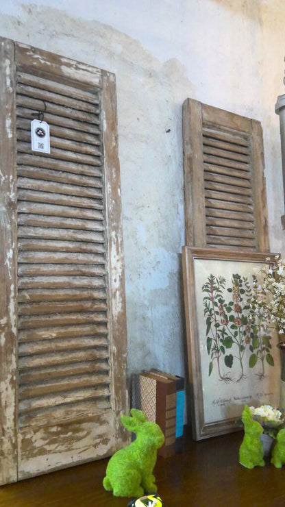 Pair of Narrow Shutters