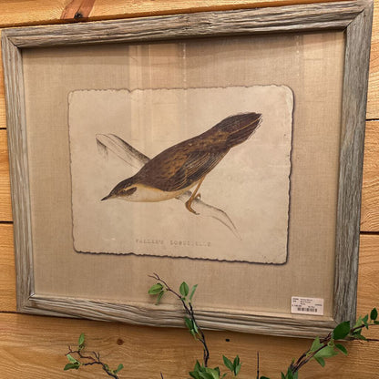 Framed Bird Print