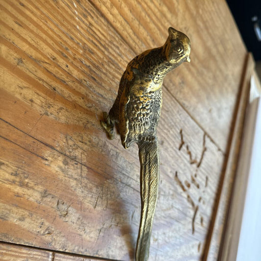 Brass Pheasant