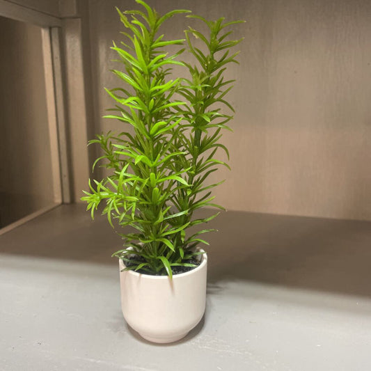 Greenery in white pot