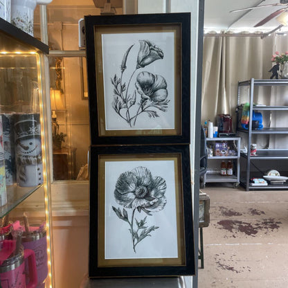Black/Gold Poppy Picture