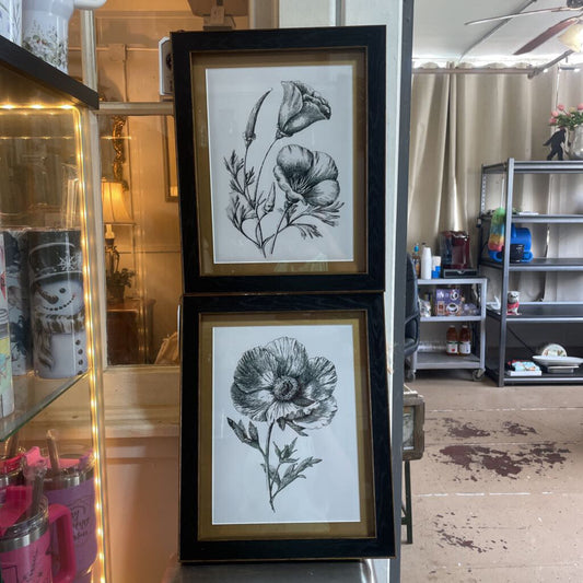 Black/Gold Poppy Picture